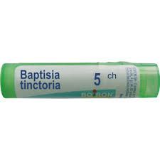 BOIRON Baptisia tinctoria 5CH 4 g