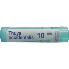 BOIRON Thuya occidentalis 10MK 4 g