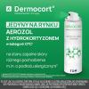 Dermocort 1,372 mg/g aerozol na skórę 38,25 g