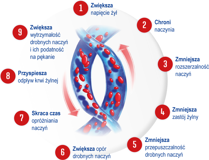 9 kluczowych obszarów